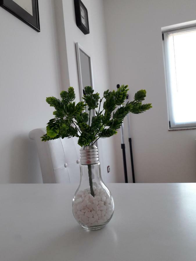 Apartman Dunja Ns 2 诺威萨 外观 照片