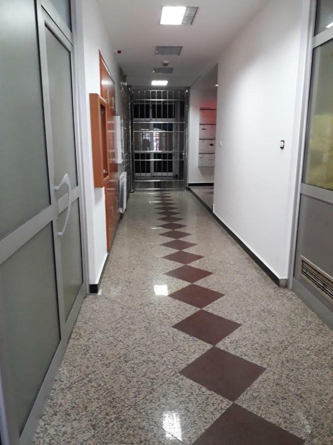 Apartman Dunja Ns 2 诺威萨 外观 照片